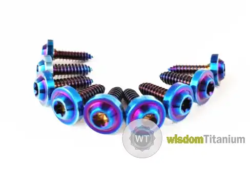 titanium screw.png